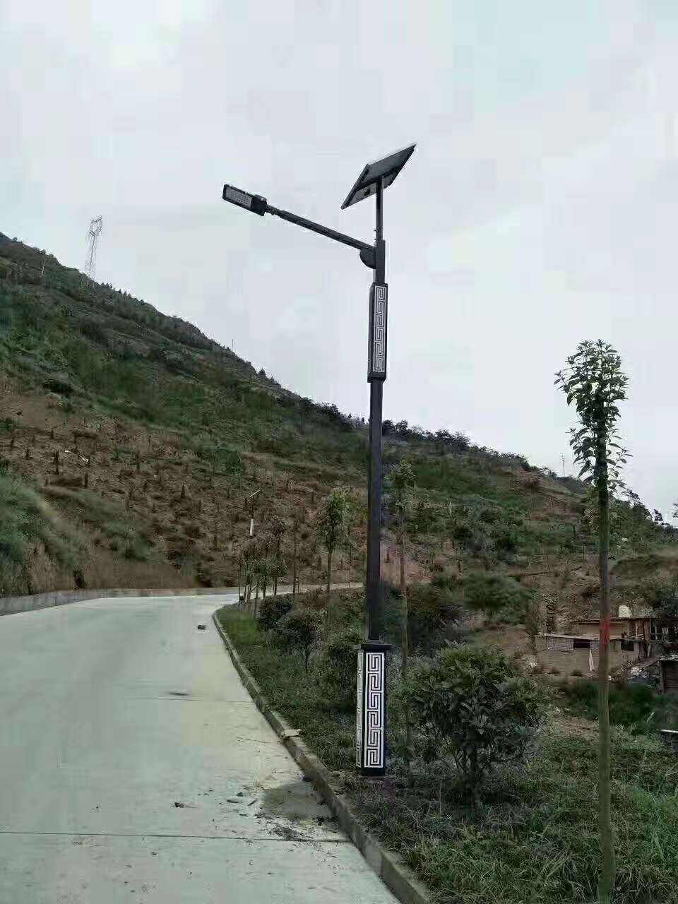 临西县仿古太阳能路灯